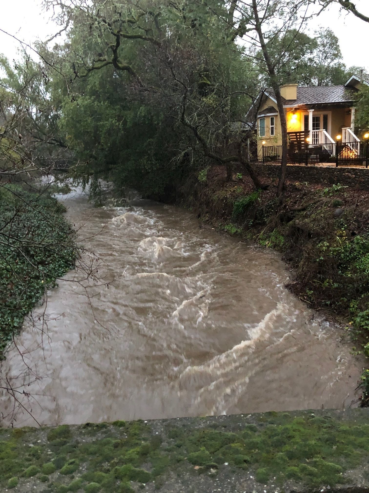 Un río serpentea por una zona boscosa, con una casa a la derecha.