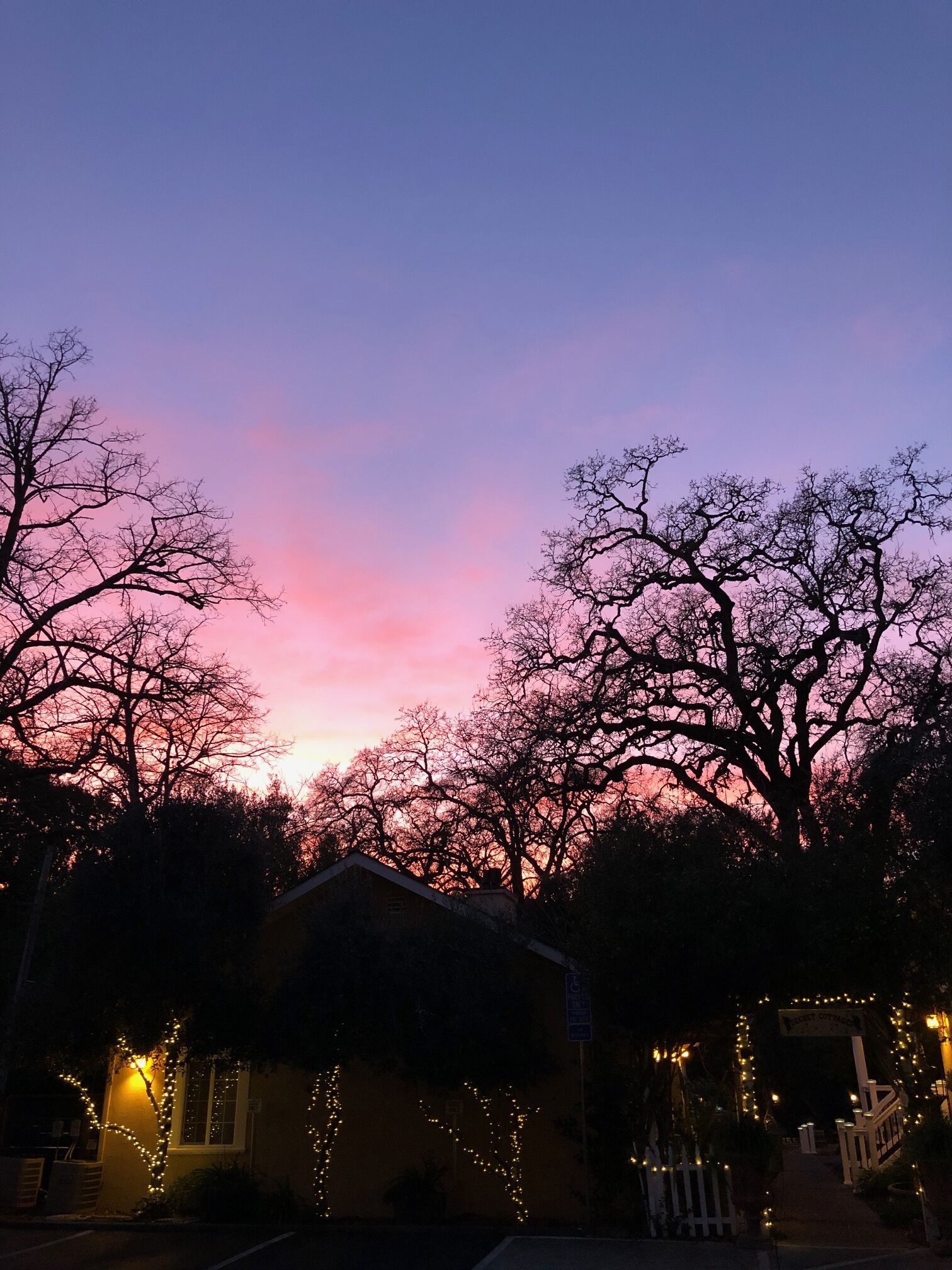 Ein Wohngebiet mit kahl stehenden Bäumen, die vor einem Sonnenuntergangsrot leuchten.