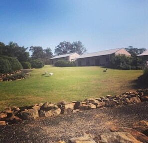 Terrein van de accommodatie