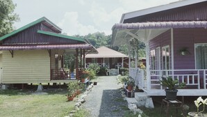 A pathway leading to two houses with verandas, surrounded by potted plants and a grassy area.