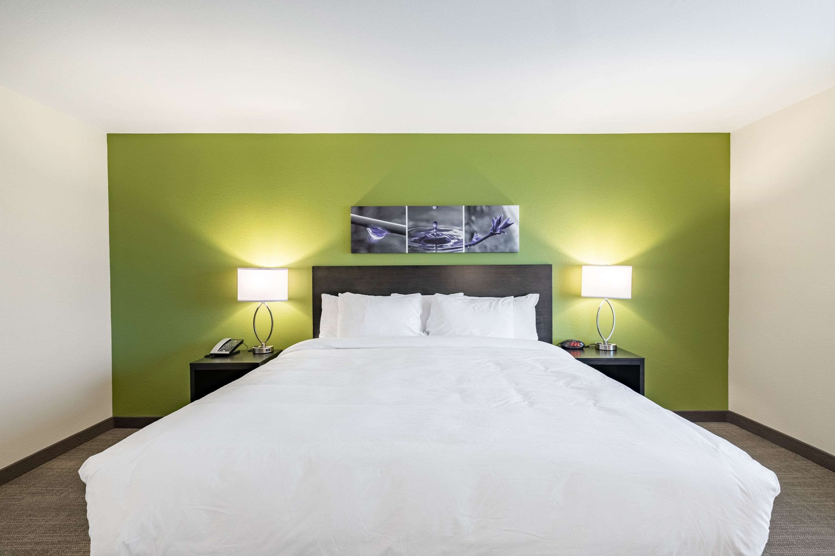 A hotel room with a large bed, green walls, and two bedside lamps.