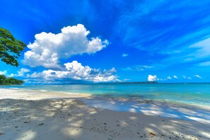 Scuba diving - Sea Shell Samssara (Port Blair)