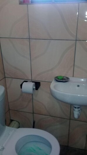 A bathroom with a toilet, a sink, and a toilet paper holder.