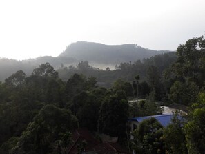 City view from property - The Onex Paradise Ella (Ella)