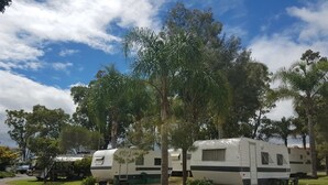 Property grounds - Rose City Caravan Park (Womina)