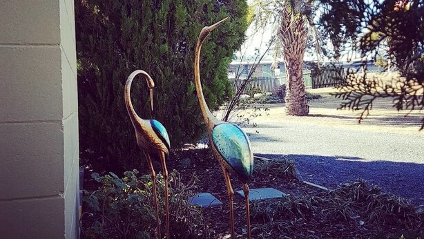 Garden - Rose City Caravan Park (Womina)