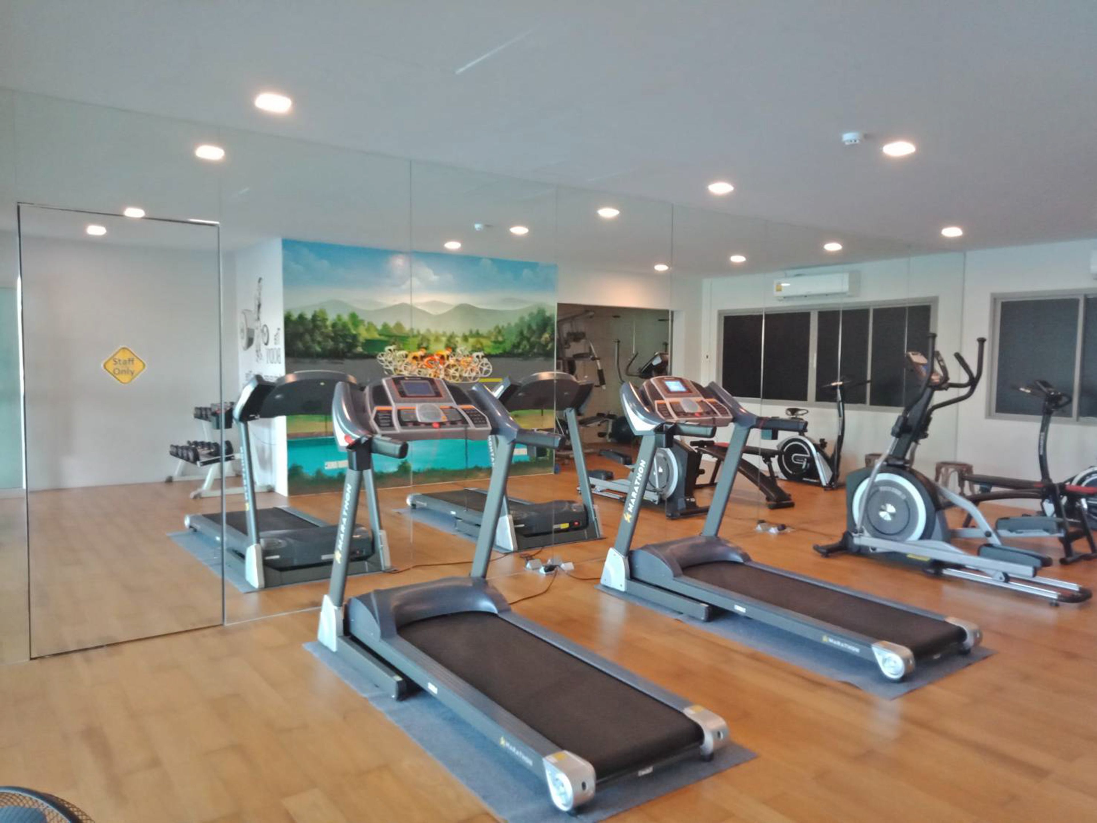 A gym with multiple treadmills, exercise bikes, and a mural of a landscape.