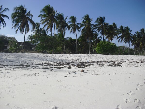 On the beach