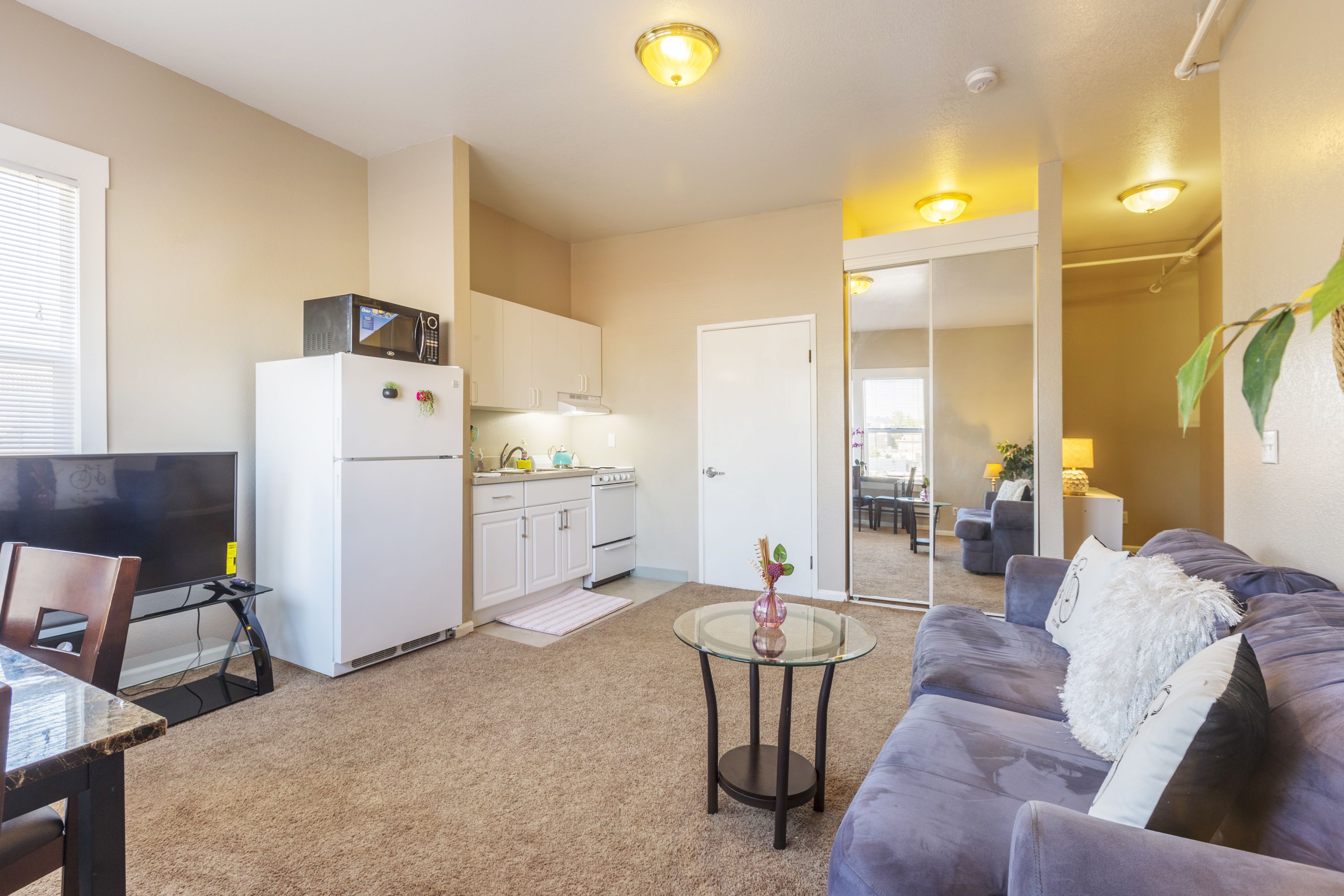 Apartment (1 Bedroom) | Living room | TV