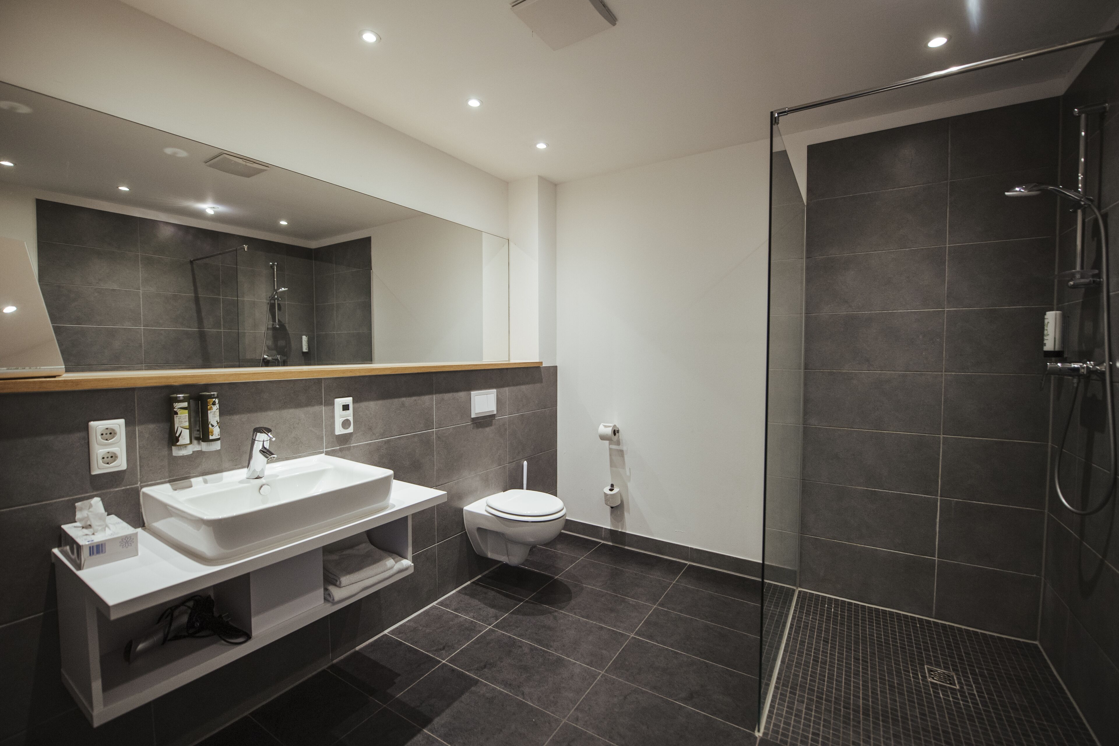 studio | bathroom | shower, free toiletries, hair dryer, towels