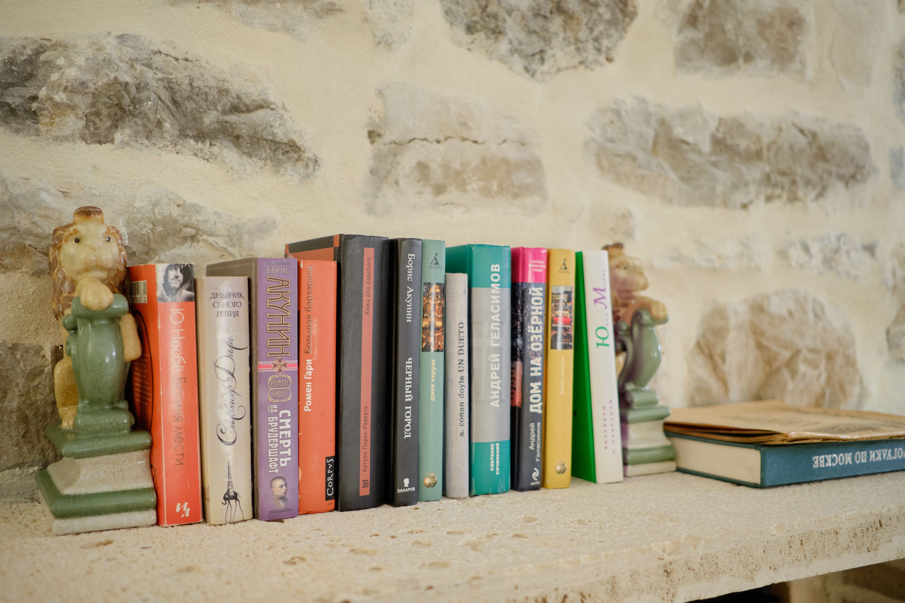Une rangée de livres sur une étagère, adossée à un mur de pierre.