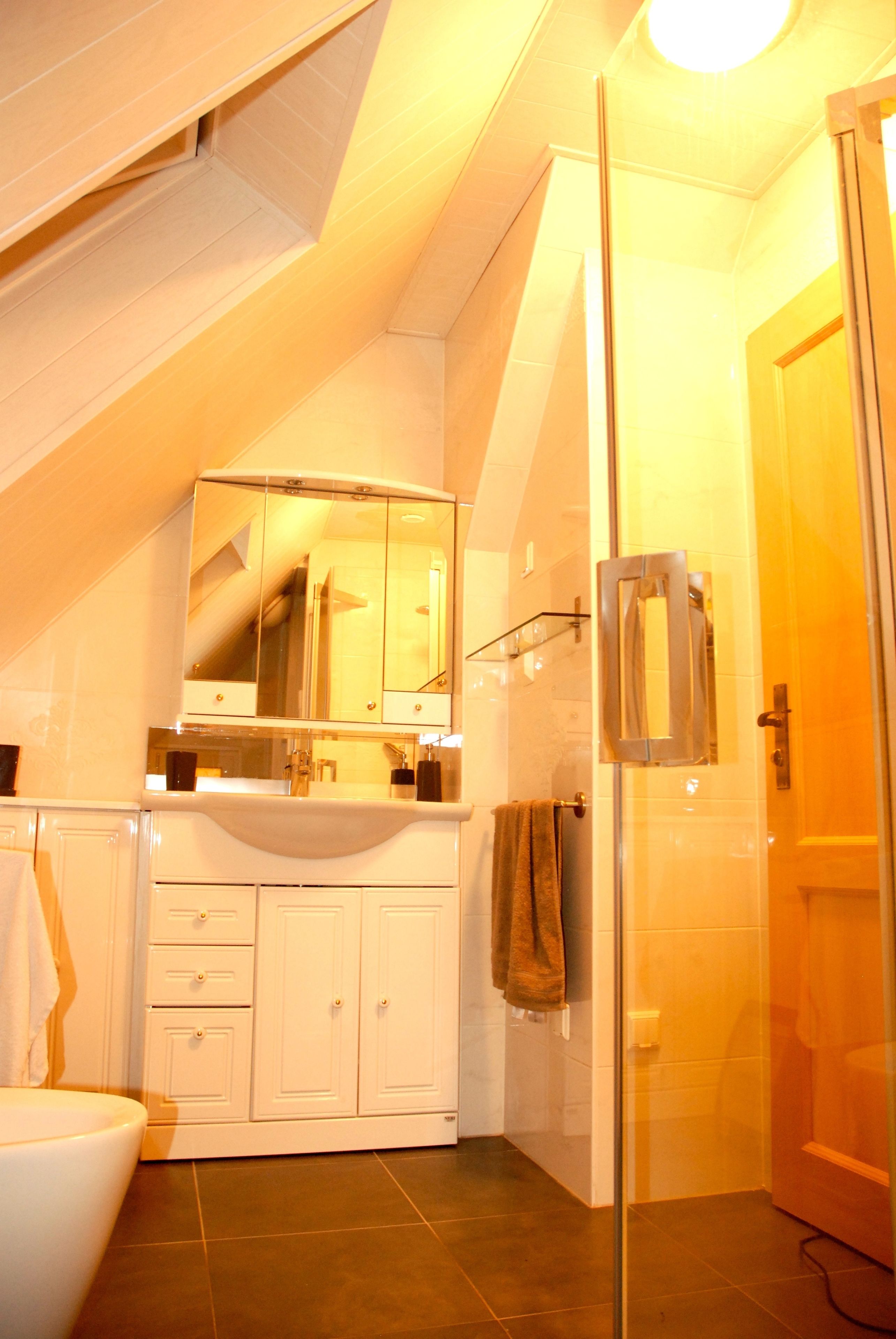 Appartamento (Penthouse) | Bagno | Doccia, asciugacapelli, asciugamani, carta igienica