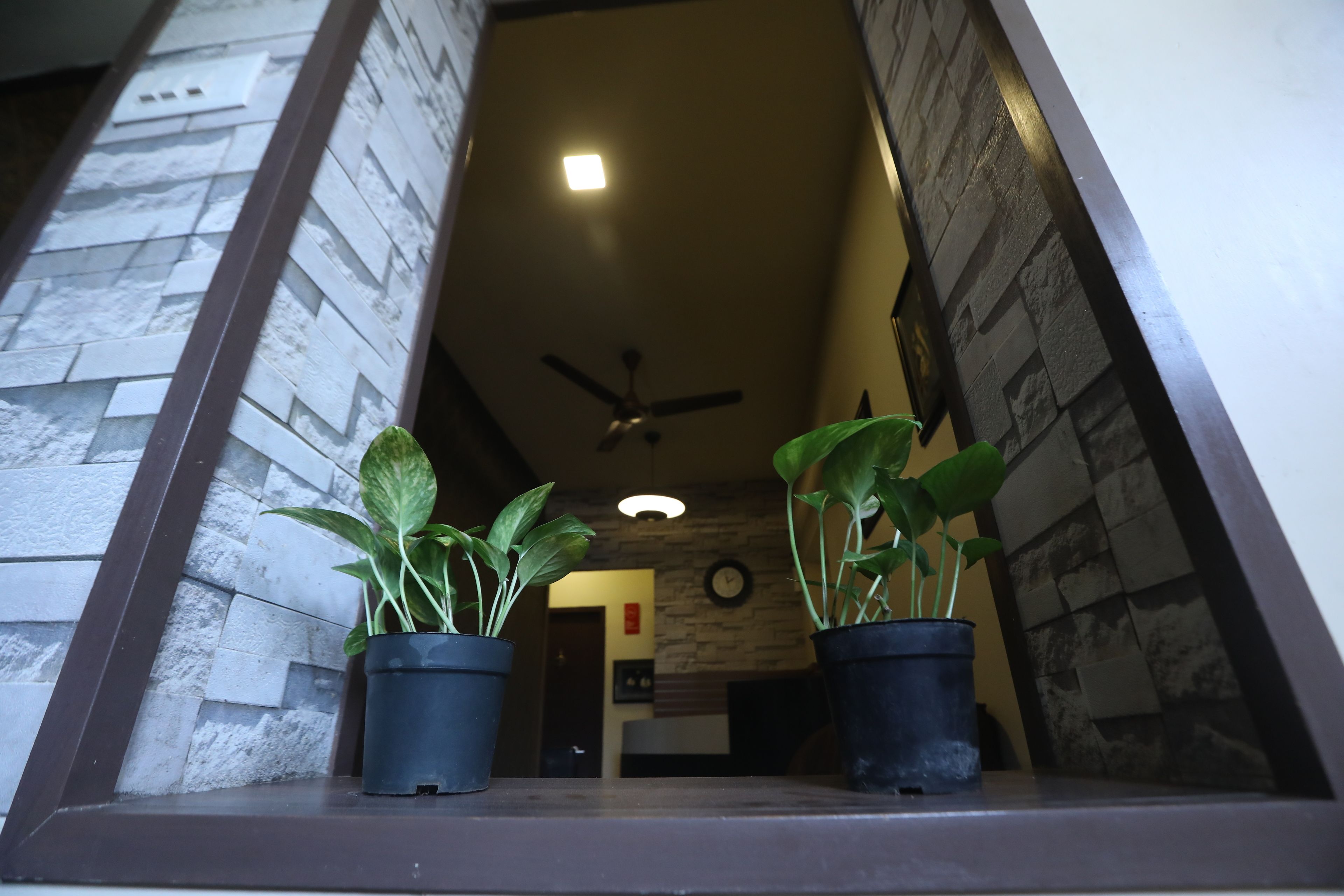 Un passadís estret amb dues plantes en maceta sobre una cornisa, un ventilador de sostre i un rellotge a la paret.