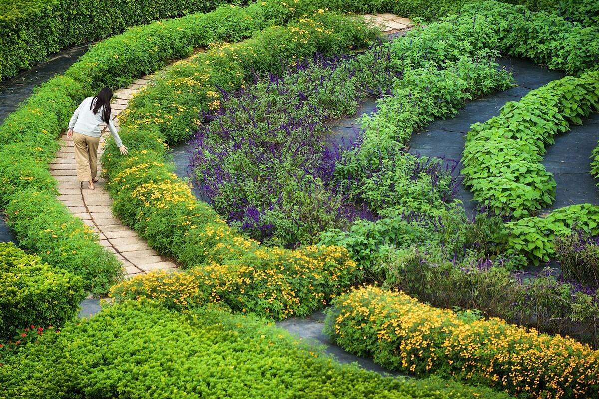 garden