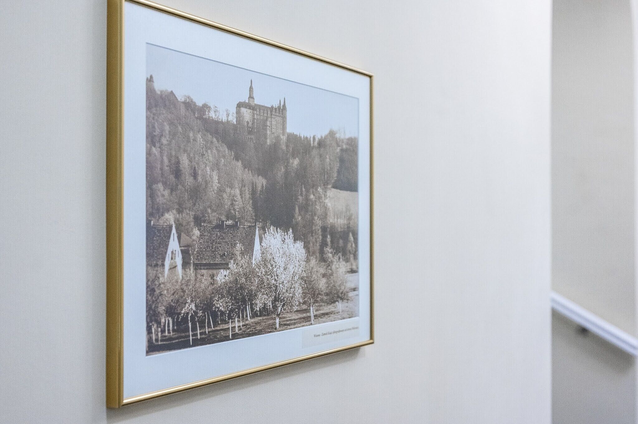 A framed black and white photograph of a castle on a hill with trees and a church.