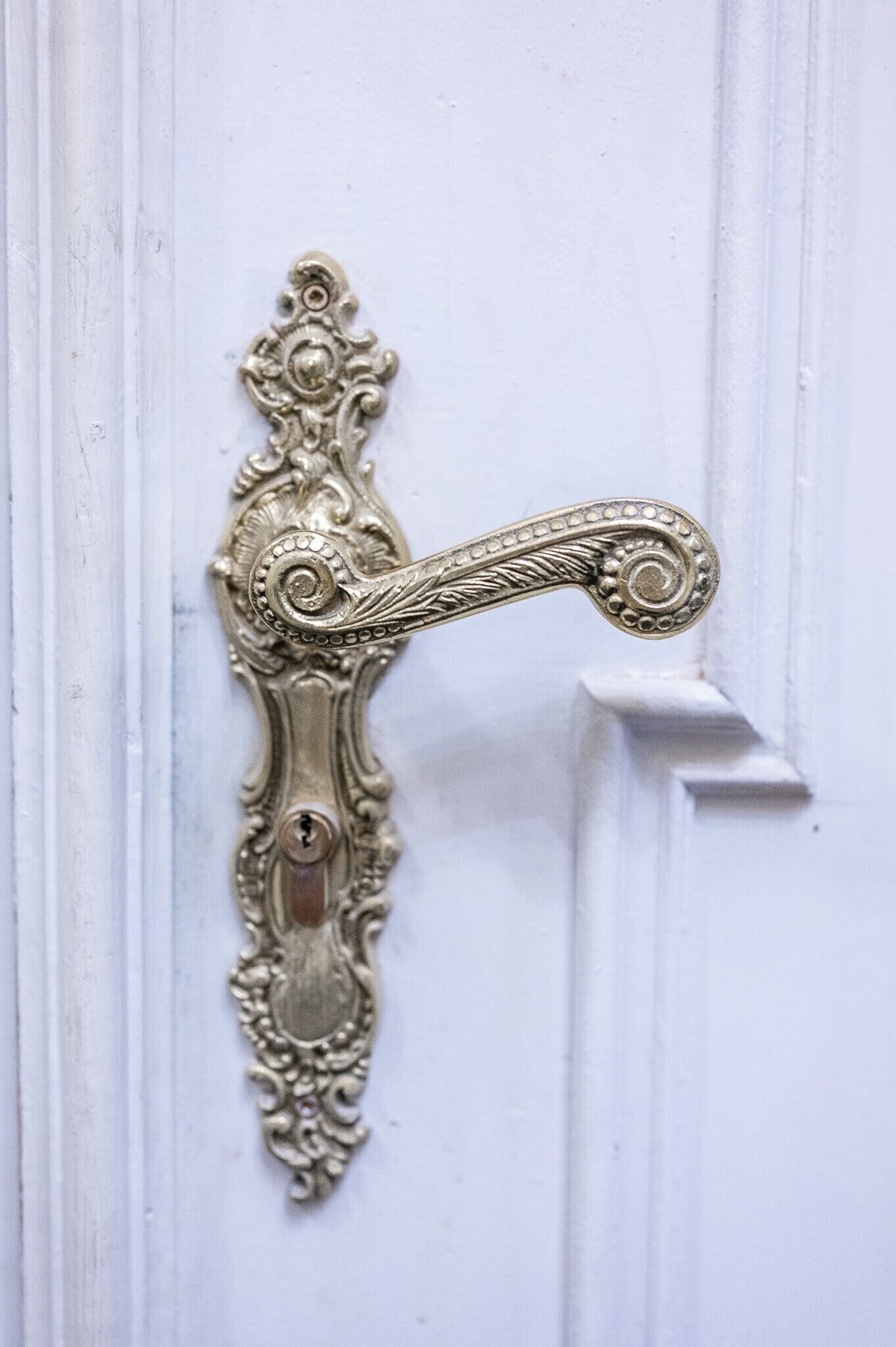 A detailed, ornate door handle with intricate designs.