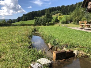 Garden - Waldheimathütte (Sankt Kathrein am Hauenstein)