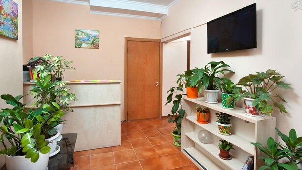 A hallway with a wooden door, a TV mounted on the wall, and shelves with potted plants. - FM Hostel Almaty (Almaty)