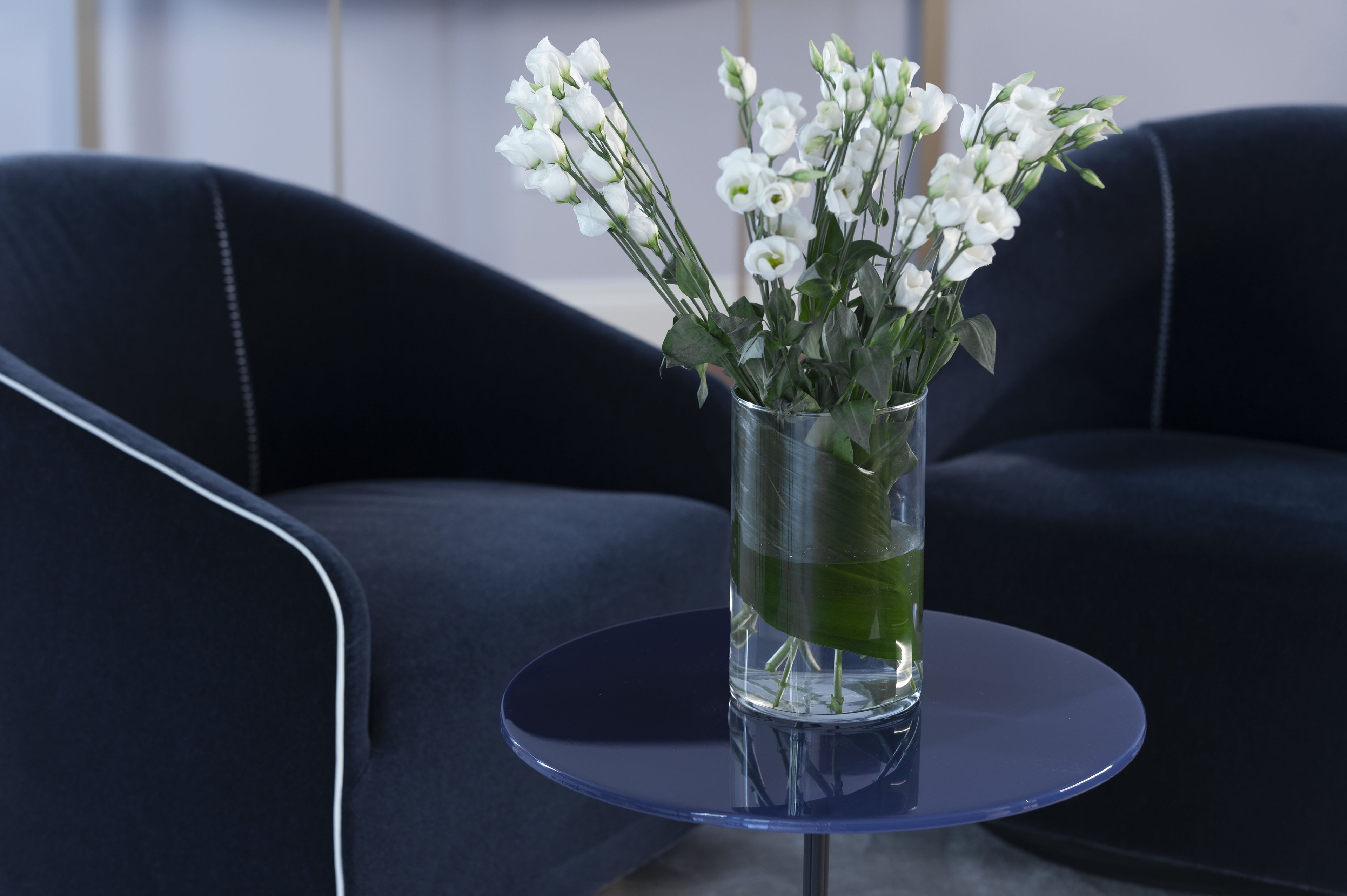 Foto - Butterfly Verona