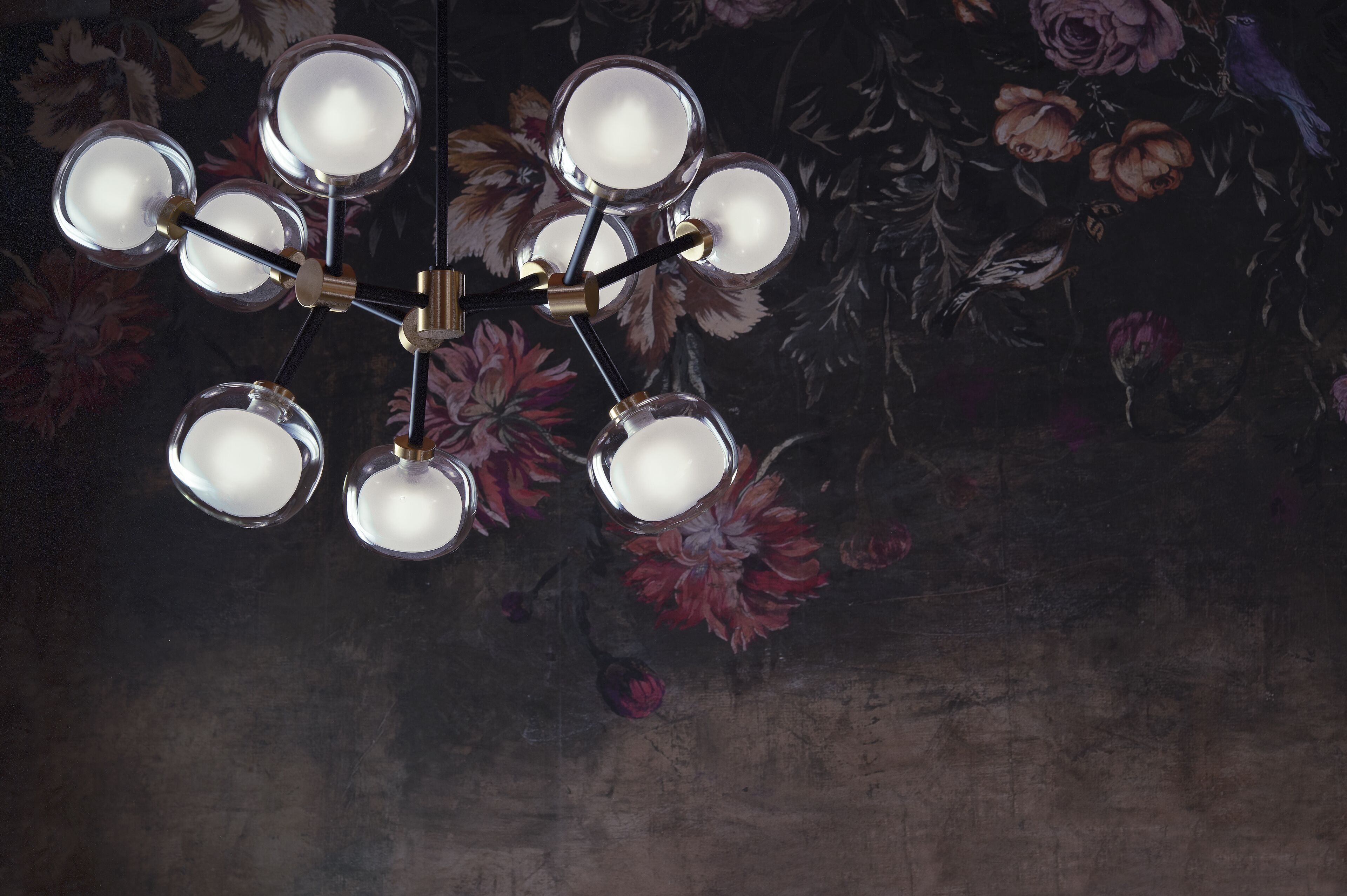 Foto - Butterfly Verona