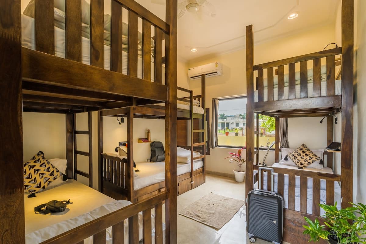 A room with bunk beds, a suitcase, a radiator, a window with a view, and a potted plant.