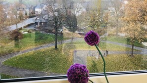 Vista dalla finestra su una città con case, una strada e alberi.