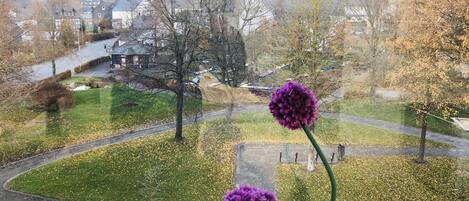 A window view of a town with houses, a road, and trees.