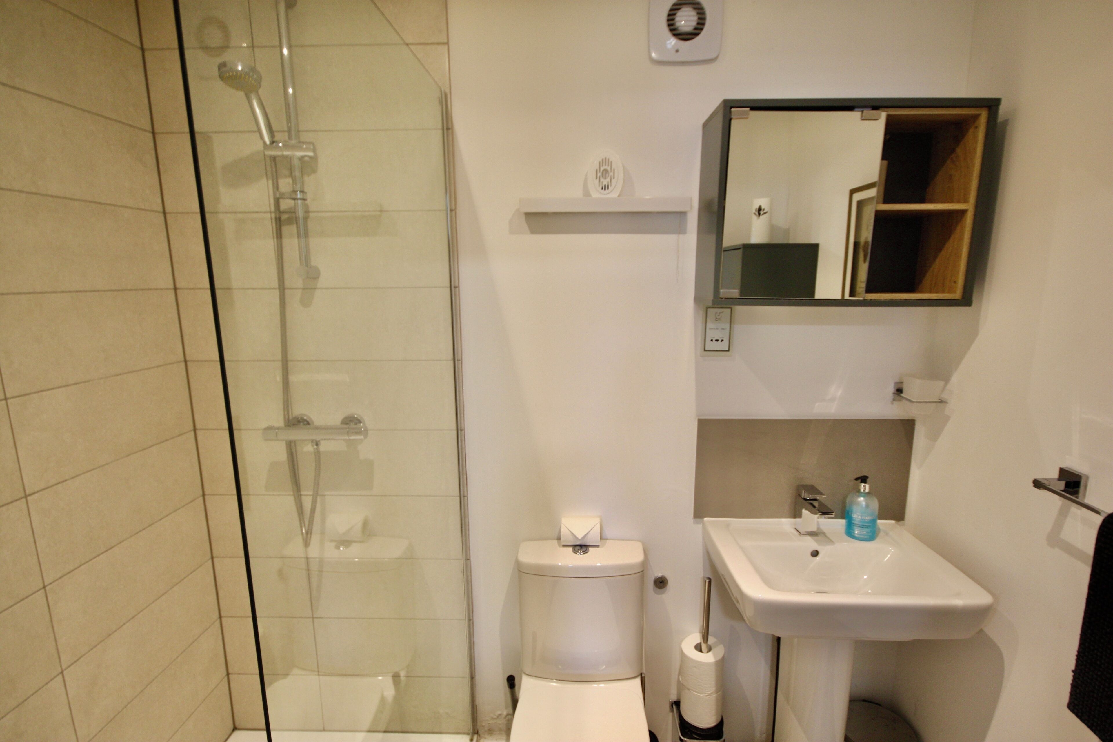 A bathroom with a glass-enclosed shower, a white toilet, a sink with a soap dispenser, and a mirror with a wooden frame.