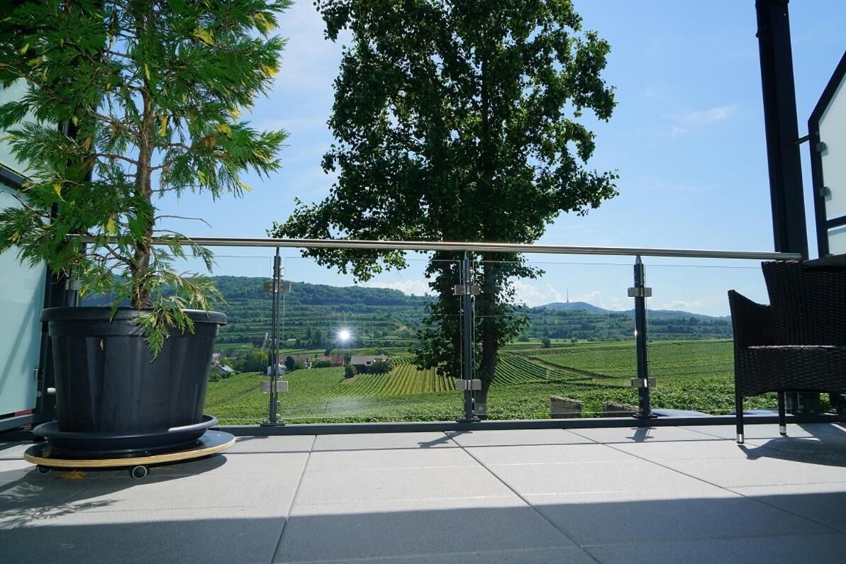 A balcony with a potted plant, a wicker chair, and a view of a vineyard.