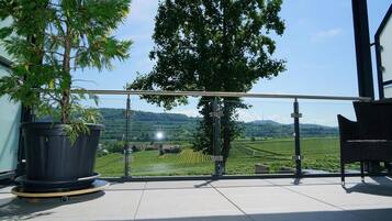 A balcony with a potted plant, a wicker chair, and a view of a vineyard.