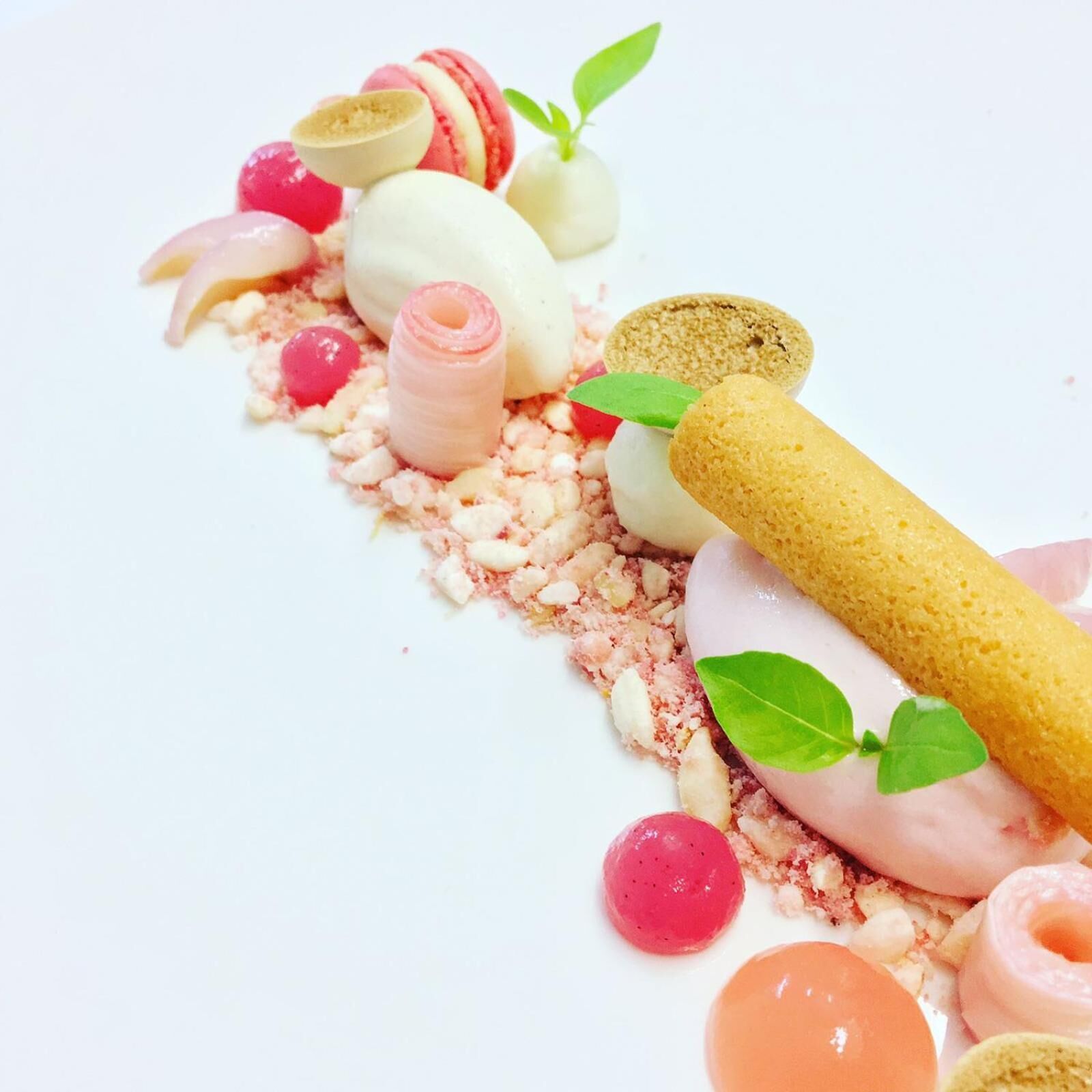 A dessert plate with various sweets and a small plant.