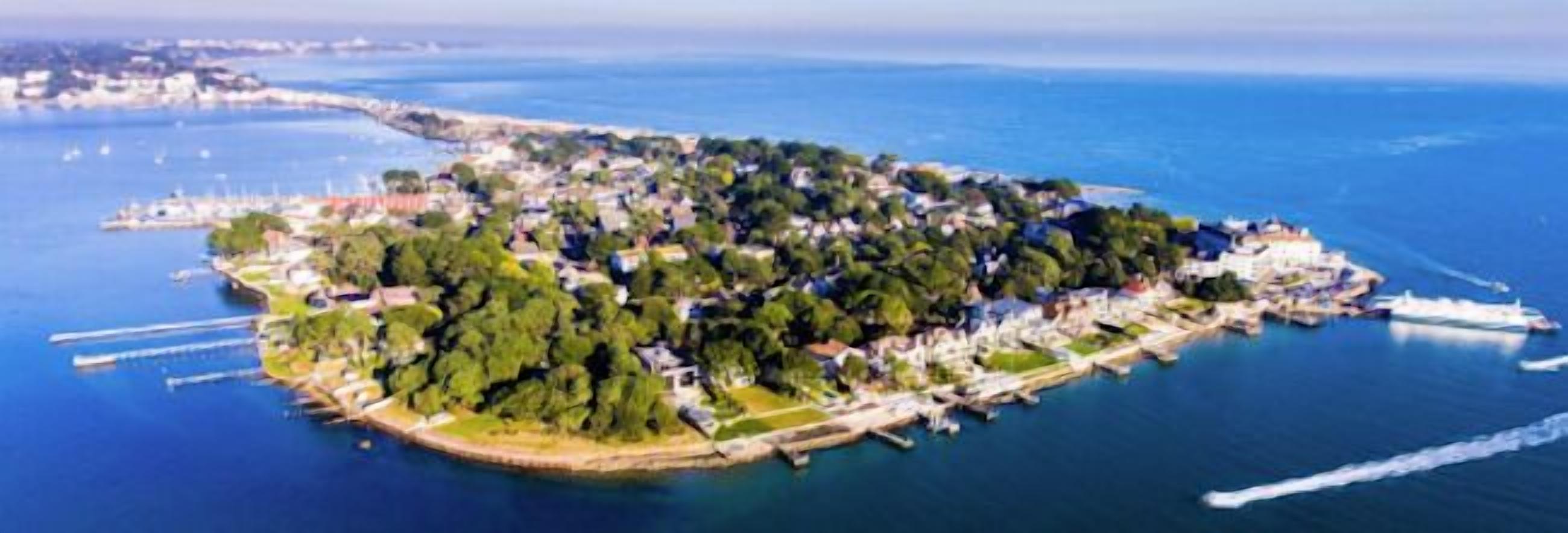 Vista aérea de una isla costera con abundante vegetación, un puerto deportivo y edificios residenciales.