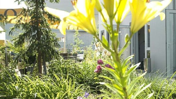 Terrace/patio - Allgäuhotel-Memmingen-Nord (Memmingen)