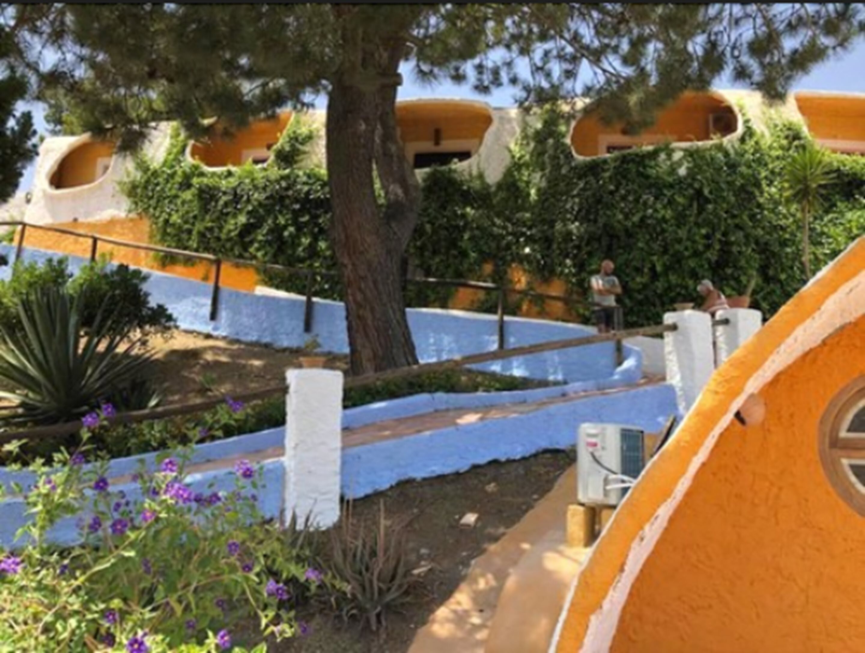 A building with unique curved architecture, a tree-lined pathway, and a small garden with purple flowers.