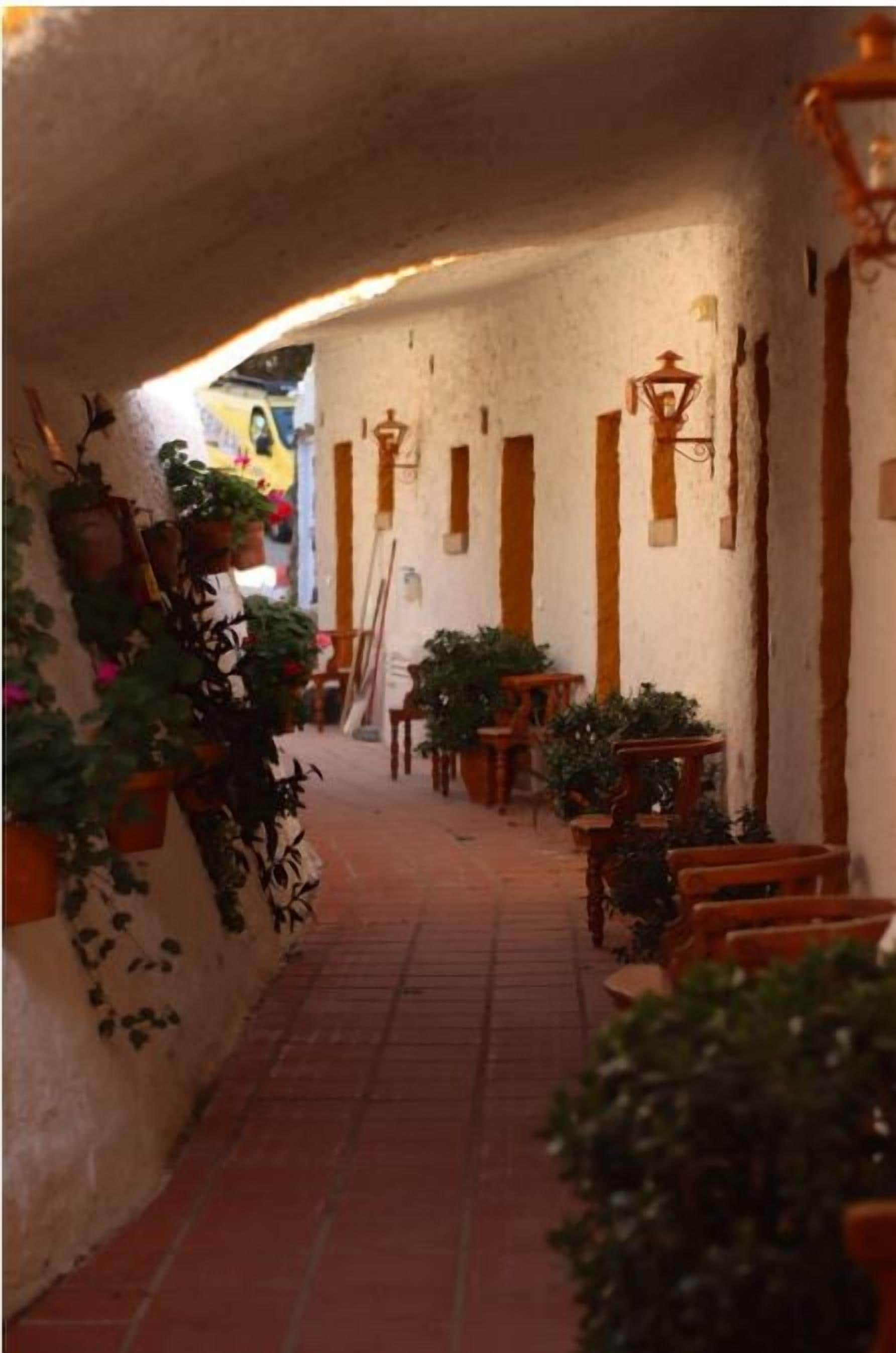 A narrow alleyway with terracotta tiles, wooden benches, and potted plants.