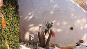 Un edificio blanco con techo curvo, rodeado de un jardín ajardinado con diversas plantas y un pequeño árbol.