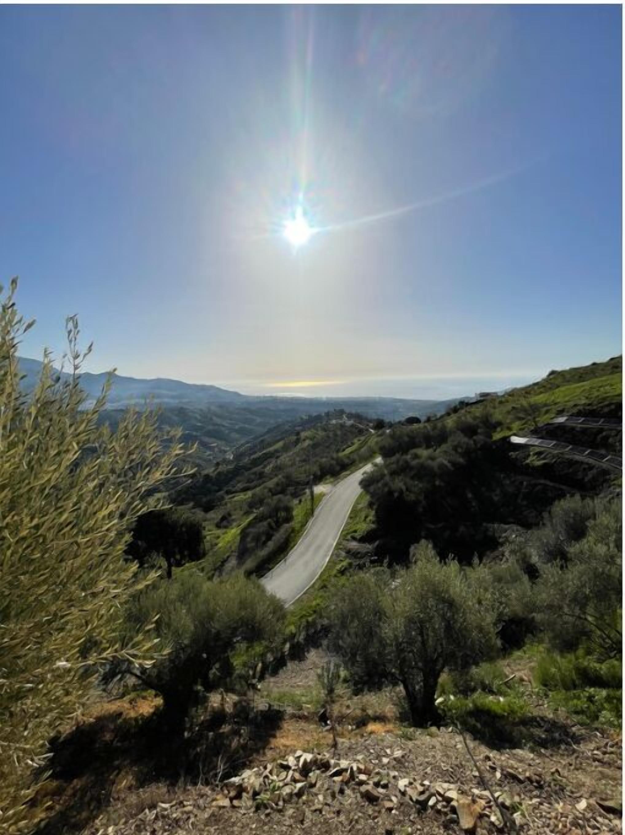 A winding road through a hilly landscape with sparse vegetation and a clear sky.