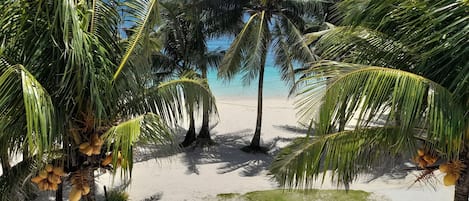 Vista frontal de la propiedad