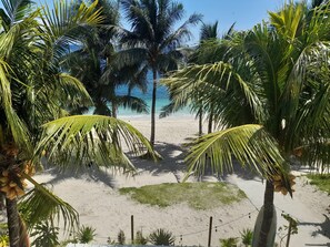 A beach with palm trees and a clear view of the ocean. - Marnin's Place Boracay (Boracay Island)