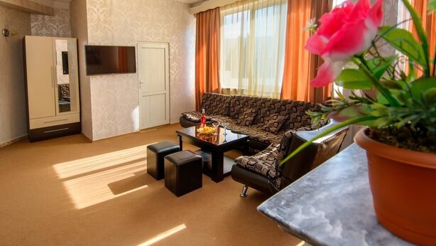 A living room with a sofa, coffee table, and potted plant.