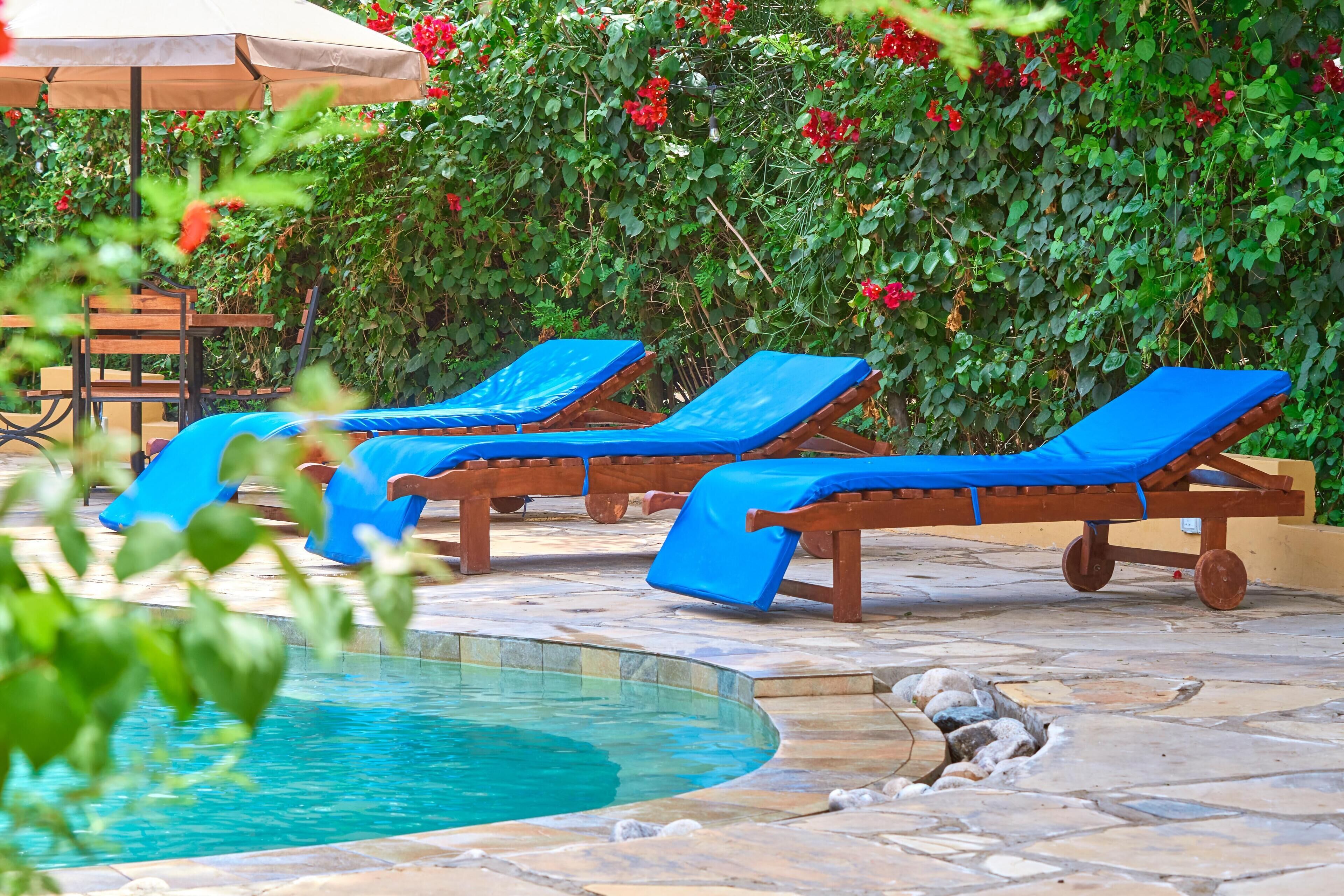 A poolside area with lounge chairs and a pool.