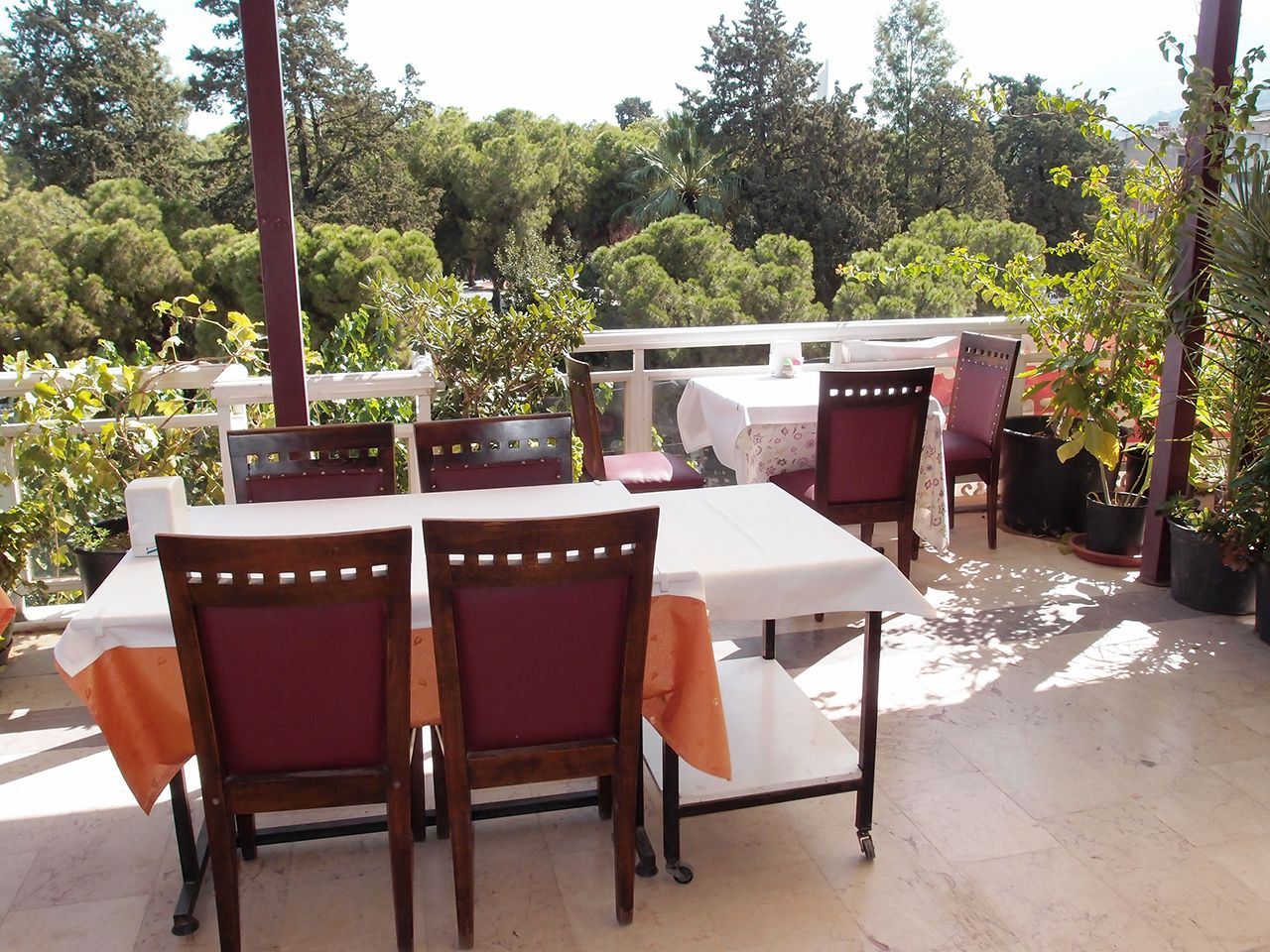 Eine Terrasse im Freien mit Tischen und Stühlen, umgeben von Kübelpflanzen und Bäumen.