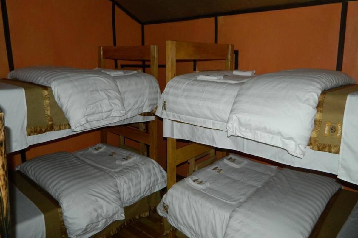 A bunk bed room with wooden frames and white bedding.