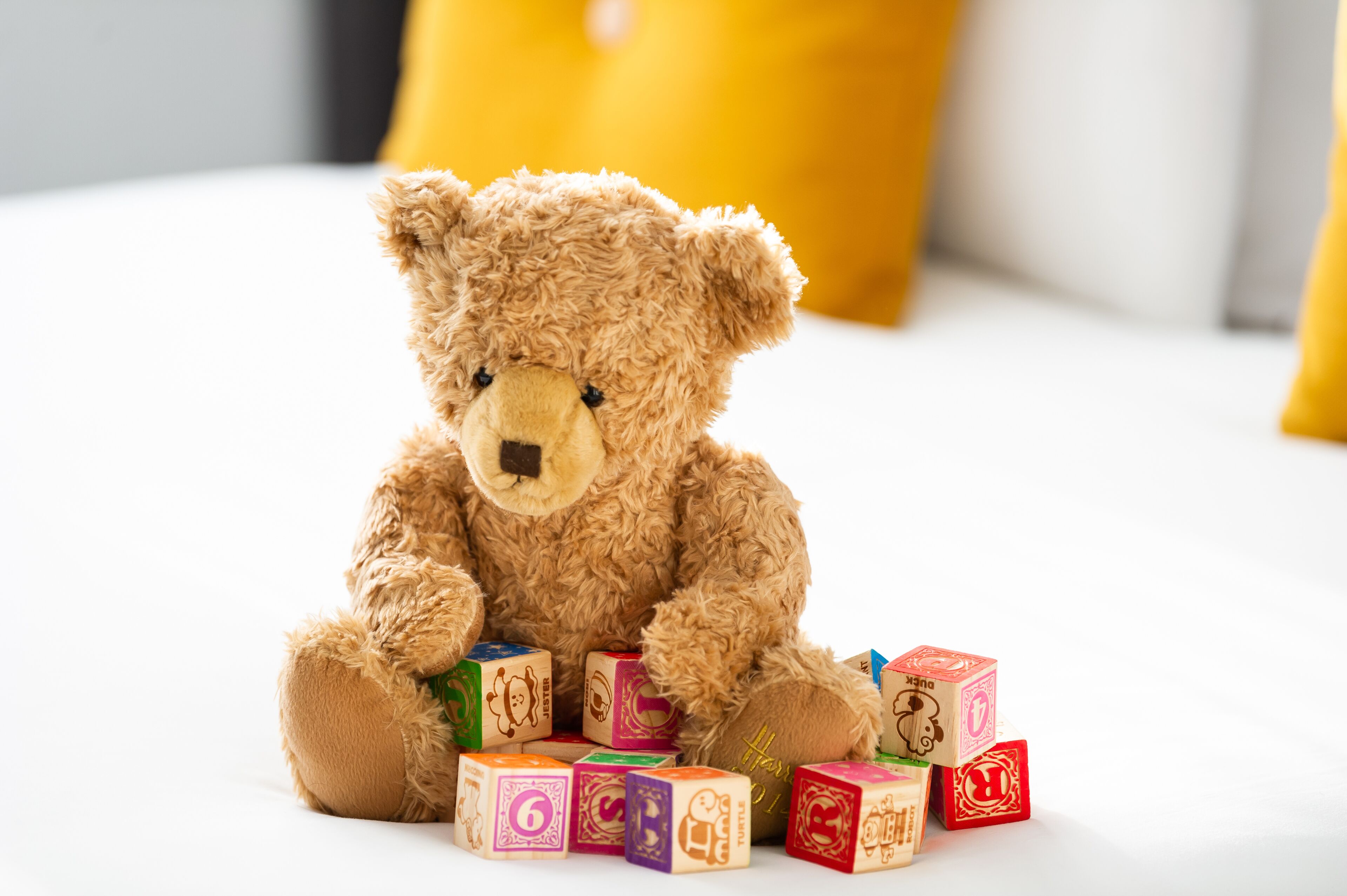 A teddy bear sitting on a white surface with colorful alphabet blocks in front of it.