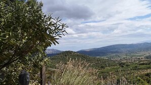 Una estatua de Buda en un entorno natural, con vistas a colinas distantes y un cielo despejado.