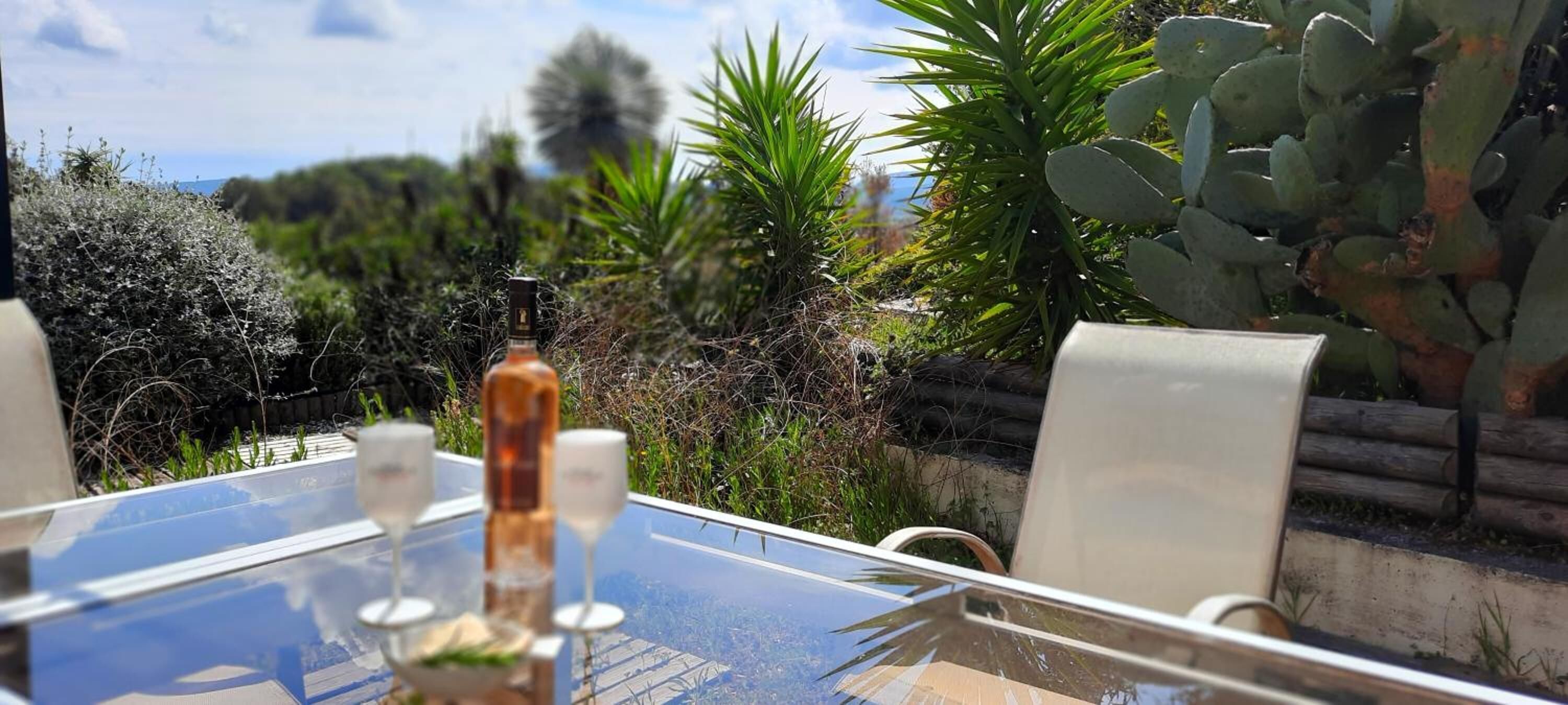 A table with a bottle and glasses, surrounded by cacti and greenery, with a view of the landscape.