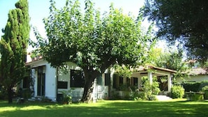 A house with a large tree in front, a covered porch, and a well-maintained lawn.