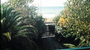 A pathway leading to a beach with dense foliage on either side.