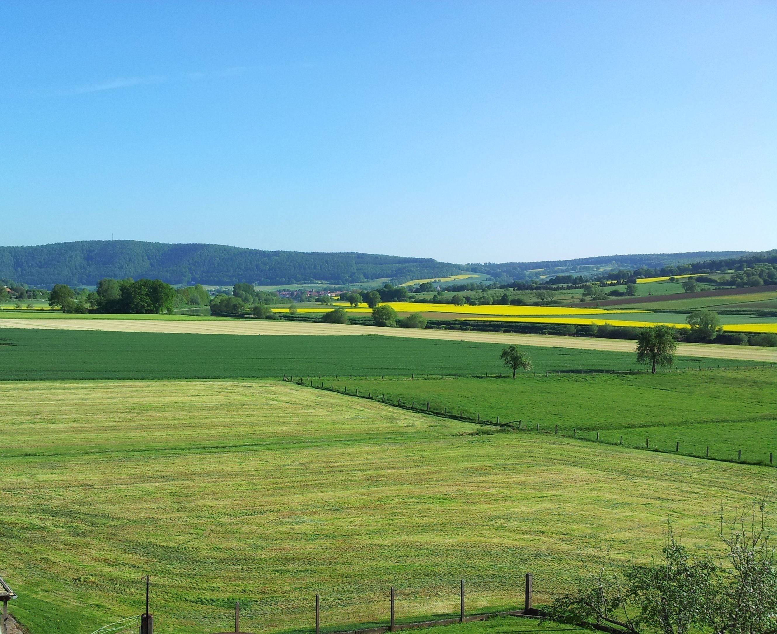 Ländliche Landschaft mit Feldern, einem Zaun und fernen Hügeln.