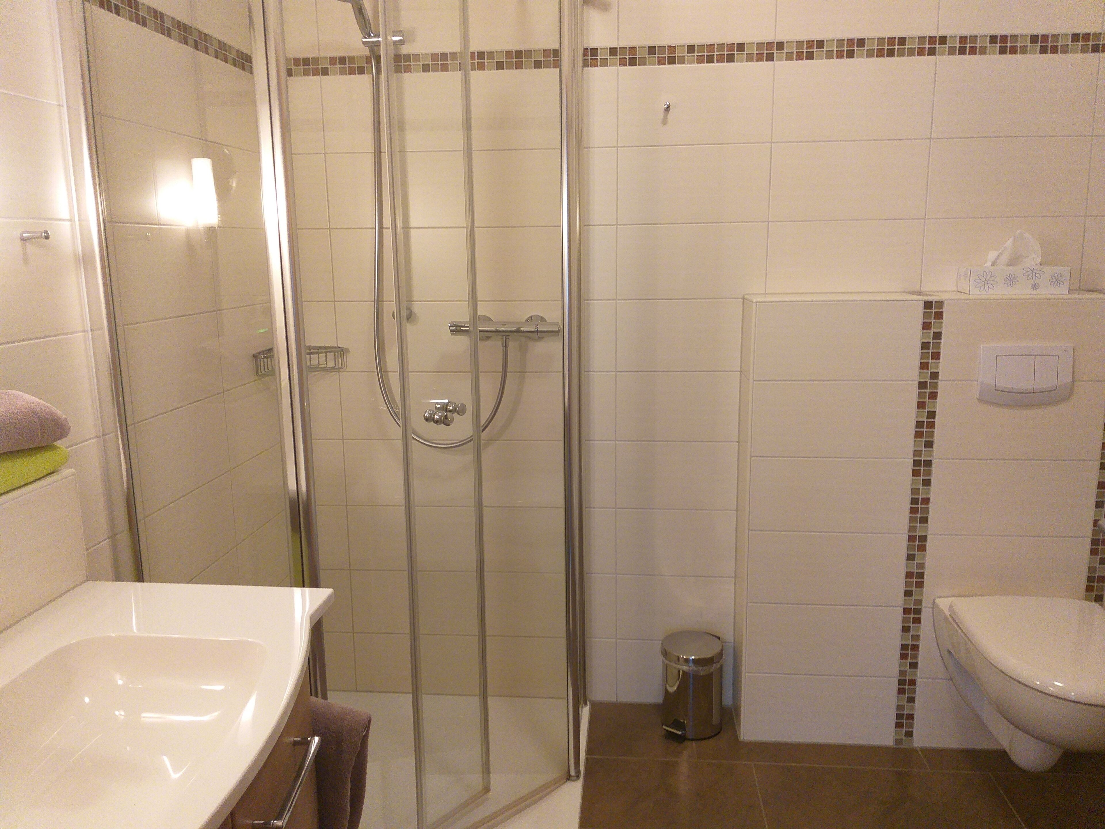 A bathroom with a glass-enclosed shower, a white sink, and a toilet.